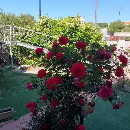 Sa Minda Noa Whit A Private Garden Tatil Evi Olbia