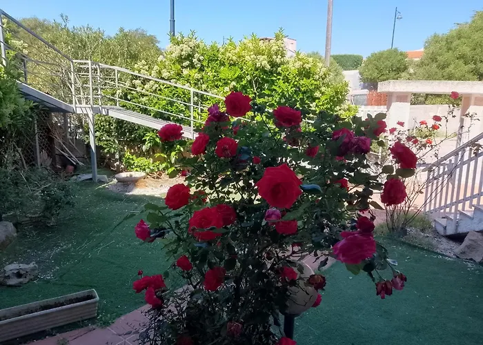 Sa Minda Noa Holiday home Olbia